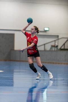 Bild 317 - wCJ TSV Ellerbek - AMTV Hamburg 2 : Ergebnis: 25:20